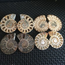 140g 4 paia piccole pietre