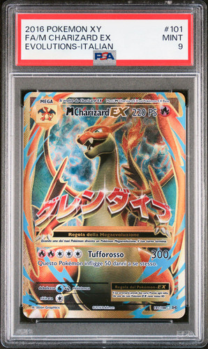 Mcharizard evo 101 108 - ex, 101/108