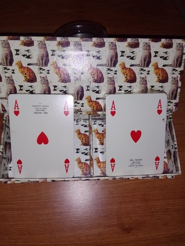 Carte poker del gatto - carte,