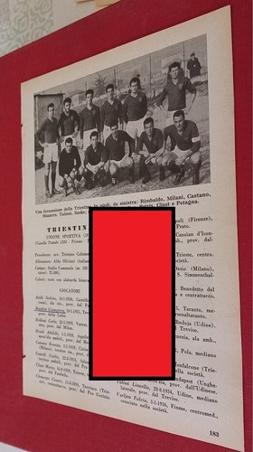 Triestina squadre - triestina,