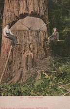 Cartolina Washington WA