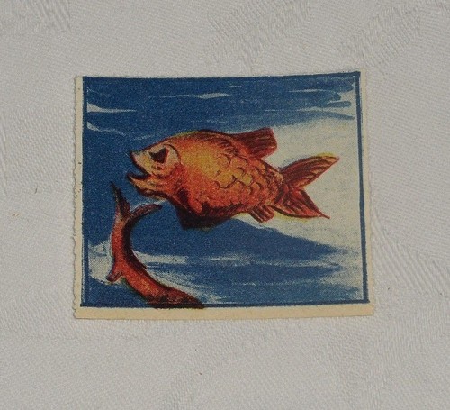 Figurina albo delle meraviglie - figurina,