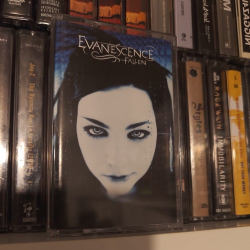 Evanescence fallen fully - evanescence,