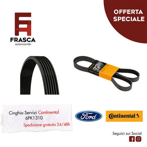 Cinghia servizi polyv - servizi,