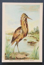 Immagine cromatica BUTOR