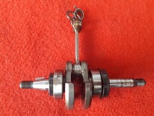 MOTOSEGA DA POTATURA ALPINA PR