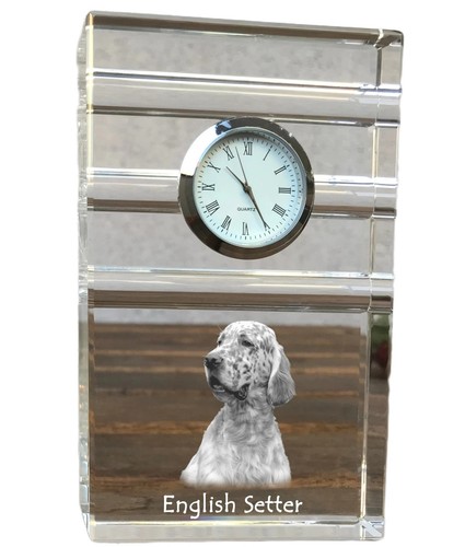 English setter orologio - english,
