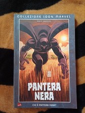 Chi è Pantera Nera 100%