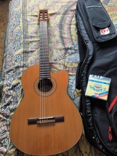 Chitarra Elettro Classica