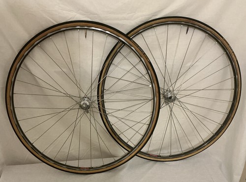 Pdm campagnolo sfqr - pdm, nuovo