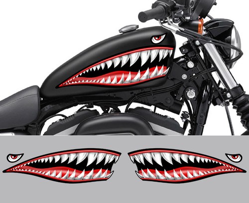 Dents requin shark - 2,
