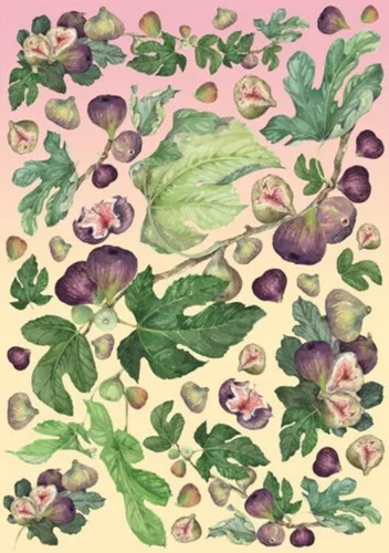 Carta decoupage formato - carta,