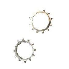 S202408 - PIGNONE MICHE PRIMO