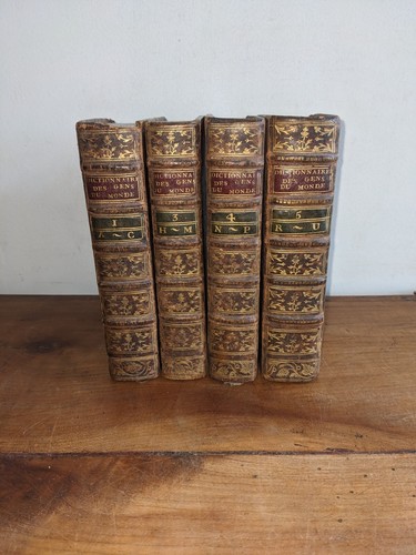 Libro antico dizionario della - libro,