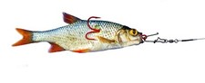 Bavaria esca pesce sistema