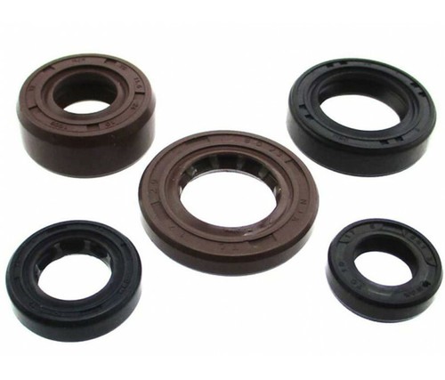 Kit paraoli motore 190 - zs,