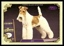 SKY 2024 Topps Allen & Ginter