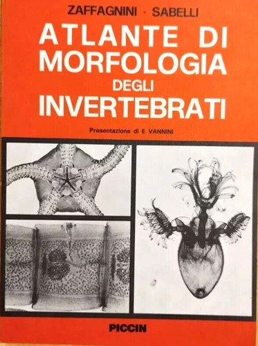 Atlante morfologia degli - morfologia,