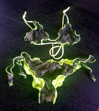 BIKINI EFFEK F**K OFFICIAL BAMBINA TG.8A