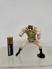 Tiger Mask Uomo Tigre