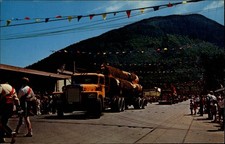 Douglas Fir Logs Arlington