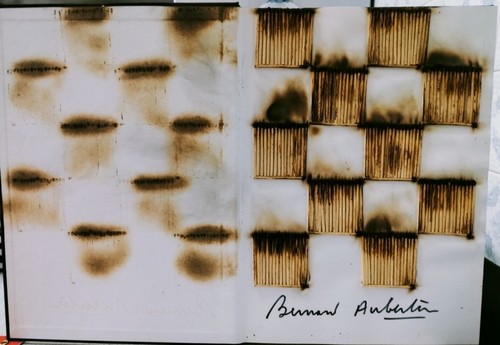 Bernard aubertin livre brulé - bernard,