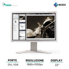 Monitor LCD 22" Eizo Flexscan S2202W 1680x1050 VGA-DVI Wide Multimediale Rico...