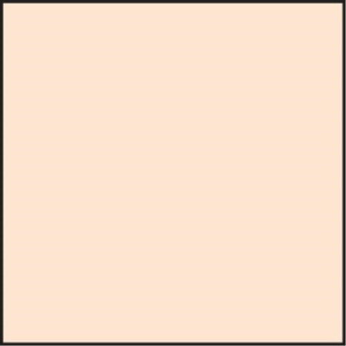 Lee filters sw150 coral - lee,