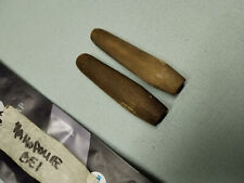 manopoline corno no manopole