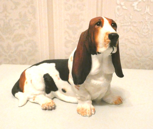 Bassett hound border fine - hound,