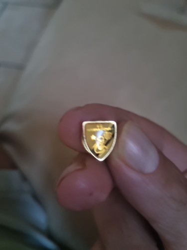 Inter spilla pins - f.,