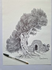 Ulivo salentino disegno con - ulivo,