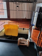 Gabbia coniglio nano