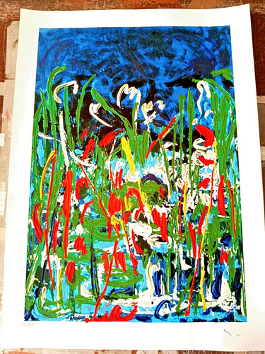 Mario schifano serigrafia - schifano- ,