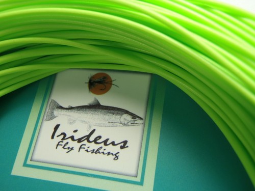 Testa tiro irideus con - testa,