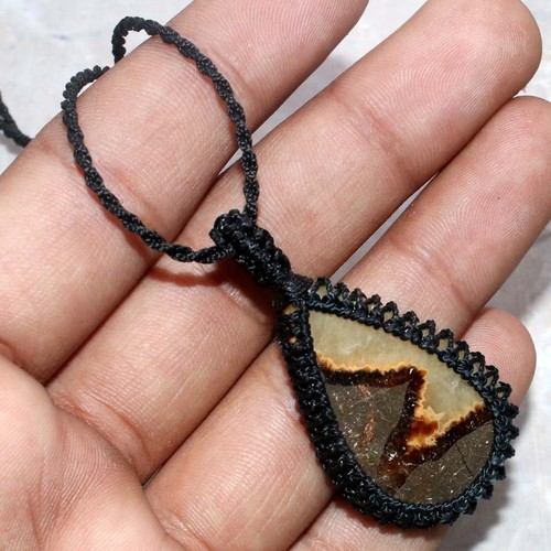 Collana setteriana filo