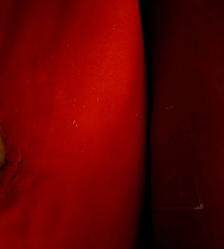 Camoscio rosso vera pelle - rosso,