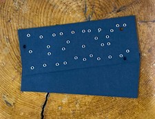 Princeton Reverb MICRO AA1164D