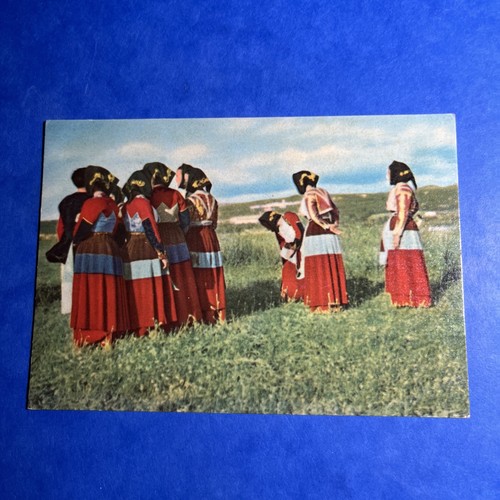 Costumi sardi fonni non - costumi, :