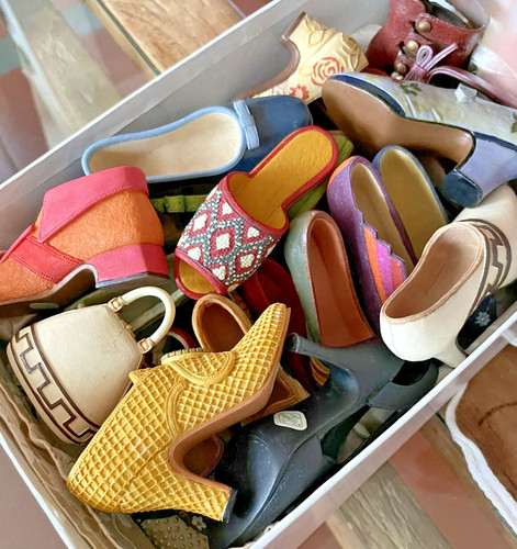 The wonder shoe - the,