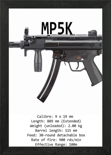 Mp5k estetica specifiche - estetica,