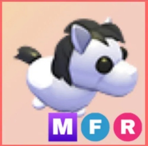 Shetland pony bianco - pony, mfr