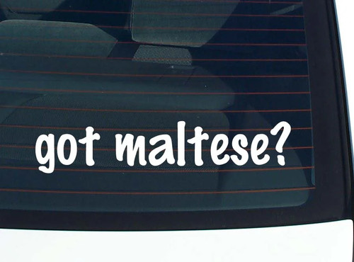 Got maltese decalcomania auto - decalcomania,