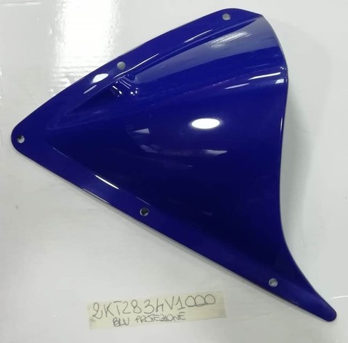 Protezione spoiler cupolino
