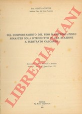 4-14305 - Sul comportamento del pino marittimo (Pinus pinaster Sol.) introdotto