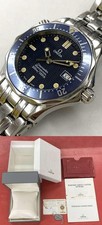 Omega Seamaster Professional