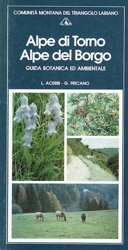 Alpe torno del borgo - alpe,
