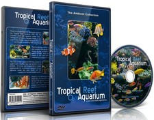 Tropical Reef Aquarium