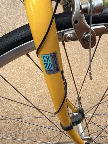55cm bianchi campione - campione, reparto