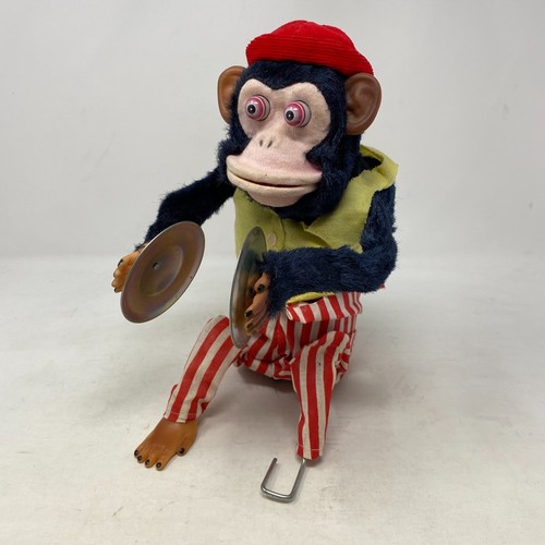 Scimpanzé piatto jolly - scimpanzé,